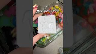 Make a squishy with me!