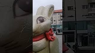 Bunny #youtube #youtuber #youtubeshorts #youtubevideo