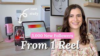 2024 Instagram Reels Growth  Tips and Content Case Study