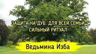 ЗАЩИТА НА ДУБ. ДЛЯ ВСЕЙ СЕМЬИ. СИЛЬНЫЙ РИТУАЛ. ДЛЯ ВСЕХ. ВЕДЬМИНА ИЗБА ▶️ МАГИЯ