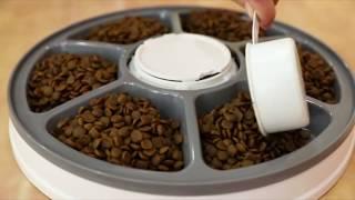   Ancaixin 6-Meal Automatic Pet Feeder available at Amazon 