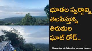 Tirumala Ghat Road Looking Like Heaven On Earth