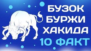 БУЗОК БУРЖИ ХАКИДА 10 ТА ФАКТ