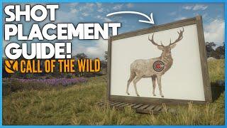 Shot Placement Guide! | theHunter: Call Of The Wild