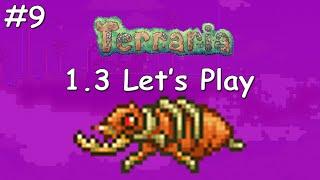 Terraria 1.3 #9 - Underground Desert