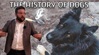 The History of Dogs: evolution, archaeology, and mythology | Full lecture (University of Wyoming)