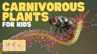 ASL Carnivorous Plants for Kids