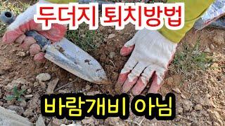 간단히 두더지 퇴치하는 방법 / 바람개비.  진동아님 #두더지 퇴치법