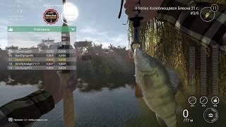 Fishing planet PS4| Соревнование Охота на Золотую Рыбку \ Yellow Perch Goldrush