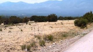 87 Acres for sale in Torreon New Mexico