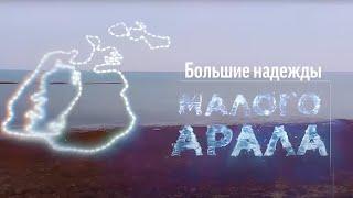 «Большие надежды Малого Арала». Документальный фильм