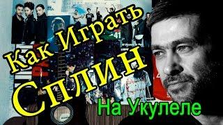 Как Играть "Сплин (Александр Васильев) - Выхода Нет" Урок На Укулеле (Для Начинающих)