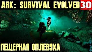 ARK Survival Evolved - пещера, артефакты, лютоволк и дурак на лютоволке... #30