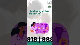 Discover the IVF process step-by-step at Shri Anant Sai IVF Centre,