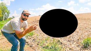BIG ISSUE ON MY FARM