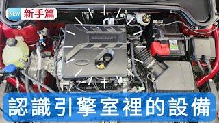 認識Ford引擎室裡的設備及開啟引擎蓋的方式，適用車型FOCUS、ACTIVE、WAGON、KUGA