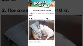 Мемы 2022  Тут Про100 мемы и короткие приколы с котами  Подборка мемов 382   Лучшие Мемы Дня