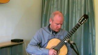 Concierto de Aranjuez - Joaquín Rodrigo - Movement I (Allegro Con Spirito) - Brian Farrell Guitar