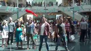 Les Misérables Flash Mob - Orlando Shakespeare Theater