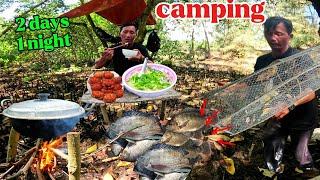 2 ngày 1 đêm sống trong rừng ngập mặn đặt bẫy tìm | 2 days 1 night living in the mangrove forest