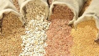 Seeds of Death: Unveiling The Lies of GMO's - Full Movie