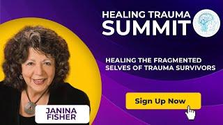 Janina Fisher - Healing the Fragmented Selves of Trauma Survivors @Healing Trauma Summit [Summary]