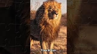Jigsaw world