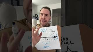 Let me teach you about the hunger scale, let me teach you about the hunger scale!