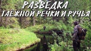 РАЗВЕДКА ТАЕЖНОЙ РЕЧКИ И РУЧЬЯ / РЫБАЛКА НА СЕВЕРЕ