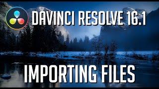 5 Ways to Import Media Files to DaVinci Resolve 16.1 Tutorial