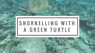 Snorkelling With A Green Turtle In The Maldives Using GoPro