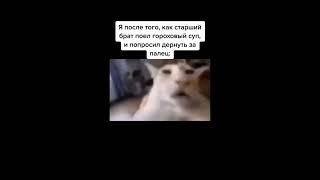 Бедный младший брат | Смешные видео | Лучшие приколы | #shorts #мемы #memes