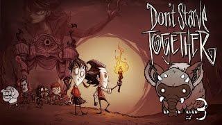 Коалослон ► Don't Starve Together #3