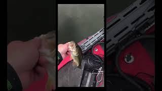 BASS FISHING IN SKEETER!