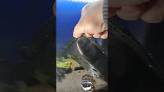 СТО Ніссан ремонт CVT 0934975885