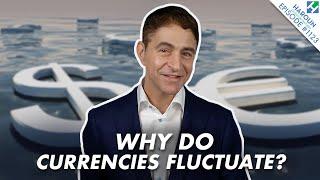 What Causes Currencies to Rise and Fall? | FX 101 (Finance Explained)