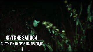 Жуткие записи снятые камерой на природе 3__Страшные записи_Страшные истории на ночь