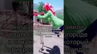 #mem #memes #popular #funny #рекомендации  #fyp