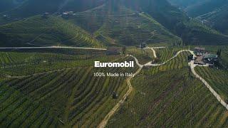 Gruppo Euromobil