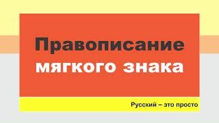 Правописание Ь мягкого знака ТЕОРИЯ / ПРАКТИКА