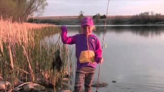SD Game Fish & Parks Pause