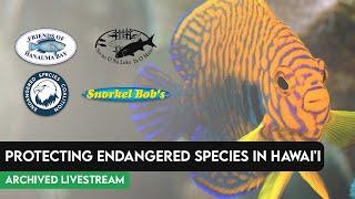 The Dark Hobby | Archived Livestream |  Protecting Endangered Species in Hawai'i