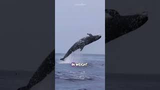 8 Animal Facts That Will Fascinate You!