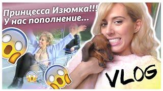 VLOG:  У МЕНЯ ПОЯВИЛАСЬ СОБАКА!!!  Мой день!!! 