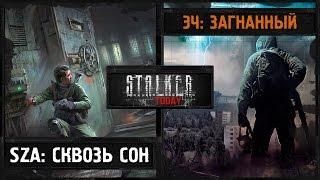 Stalker Today #22 - SZA: Сквозь сон и Эхо Чернобыля: Загнанный