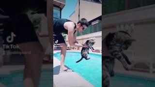 Mi Gata se cae a la piscina!!!