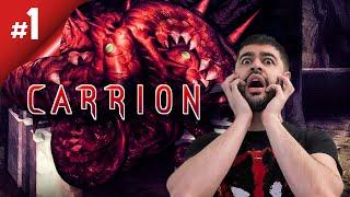 УЖАСНАЯ БИОМАССА НА ВОЛЕ / Инди Игра  ► Carrion #1