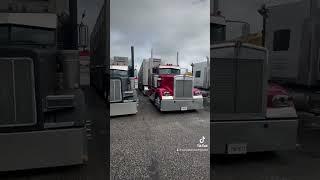Always a hurry  #cattle #truck #fallrun