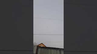 Посадка голубя