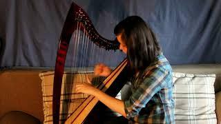 Auldyn River played on harp